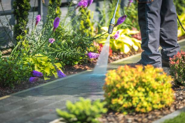 Best Concrete Surface Cleaning in Selden, NY