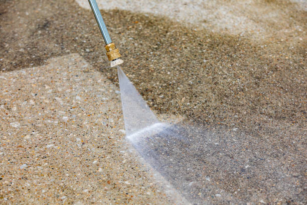 Best Vinyl Siding Pressure Washing in Selden, NY